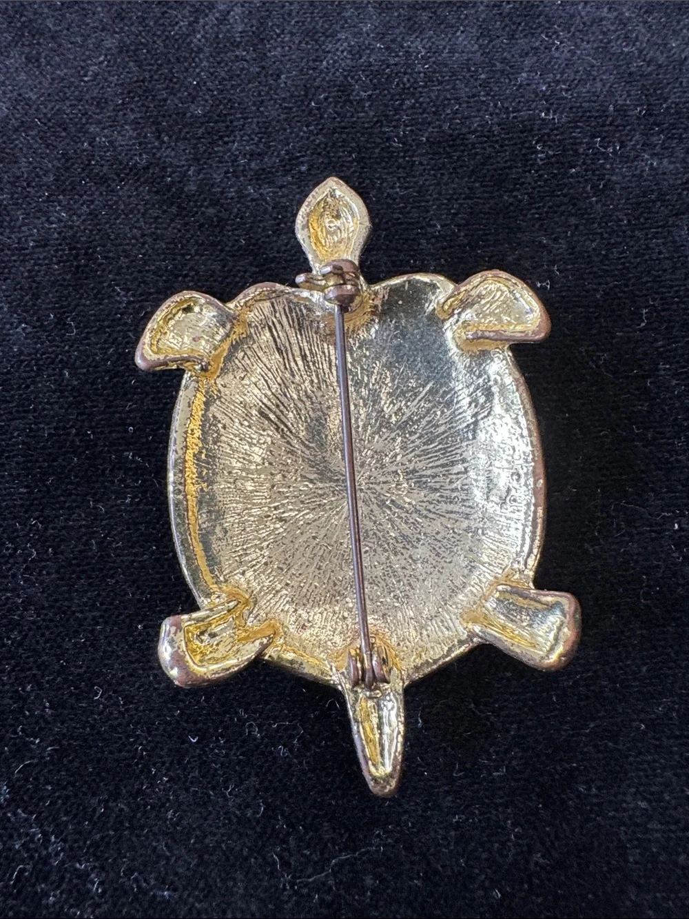 Vintage charming turtle